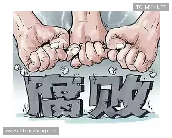 反腐雄心：一场关系国家命运的权力斗争与正义之战