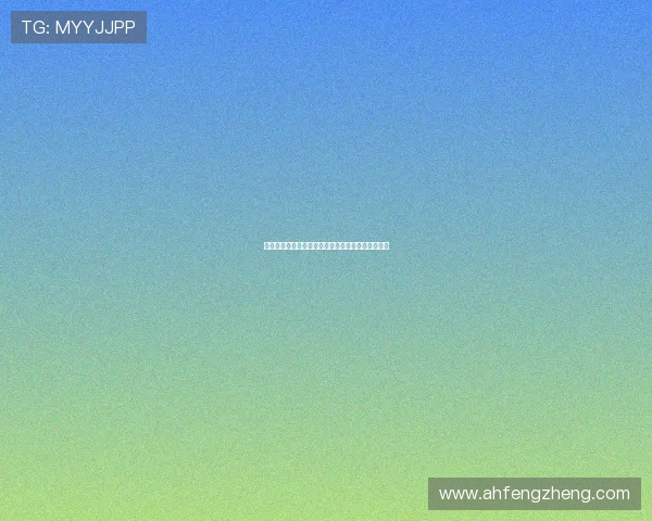 神探阿蒙第五季：悬疑、人性与温情交织的犯罪美学